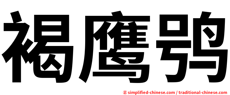 褐鹰鸮
