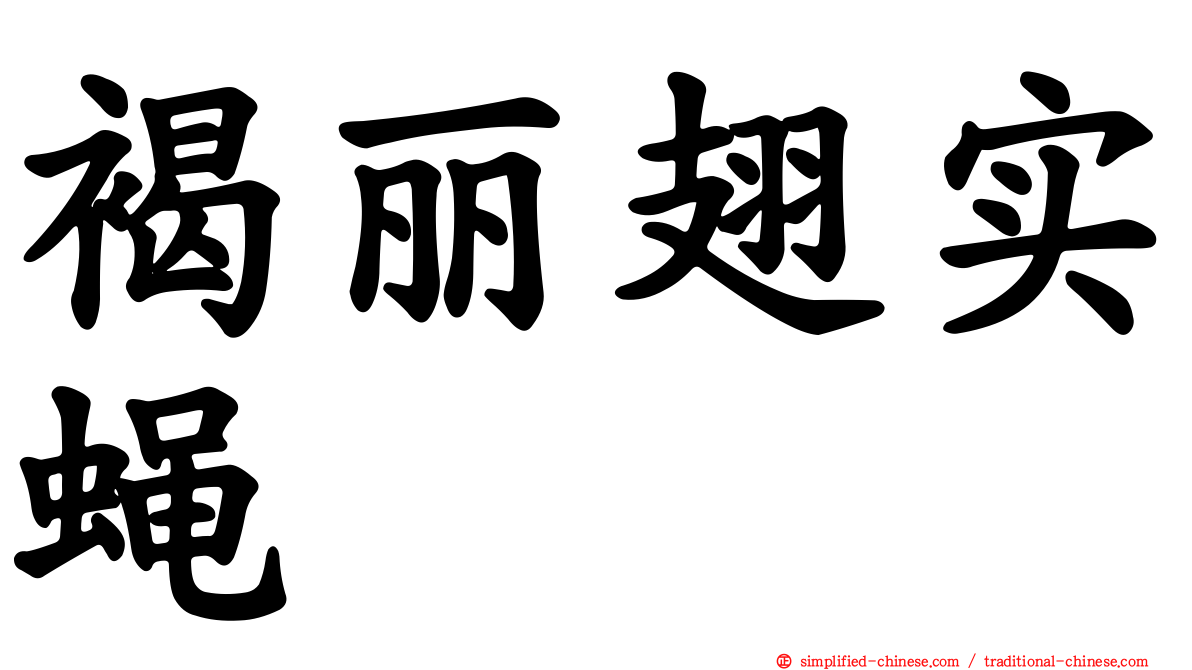褐丽翅实蝇