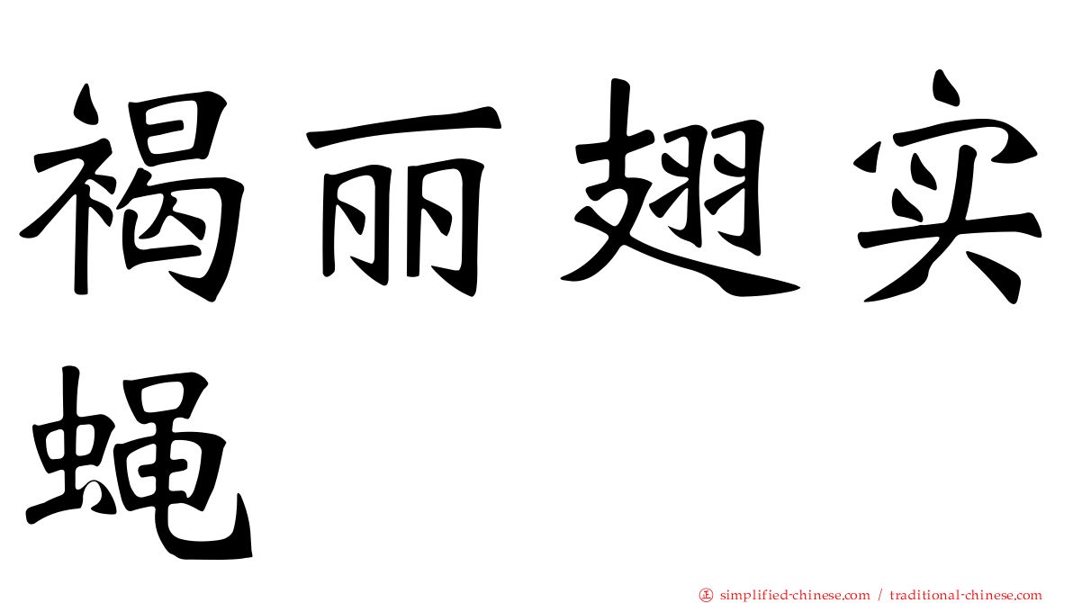 褐丽翅实蝇