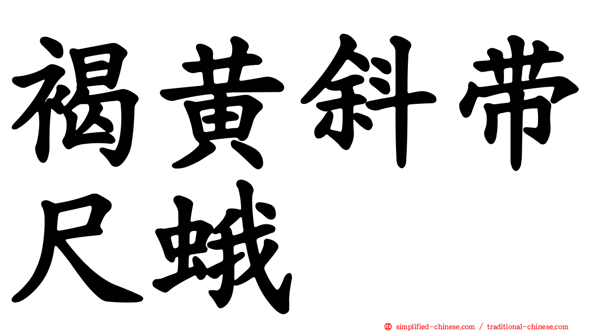 褐黄斜带尺蛾