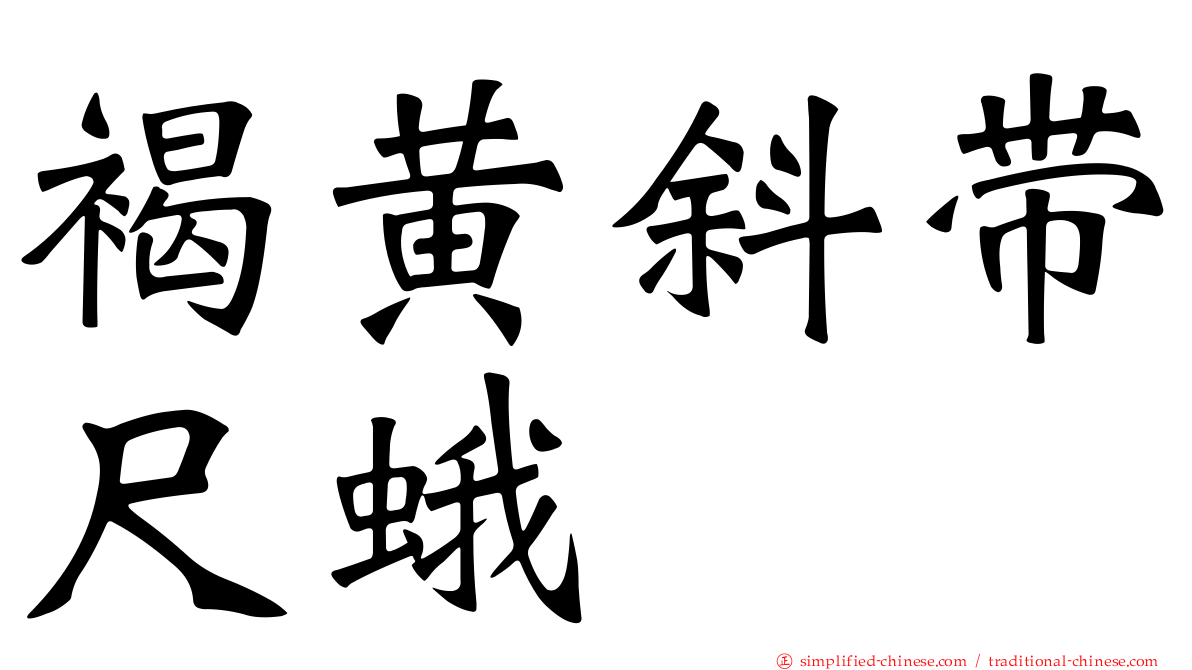 褐黄斜带尺蛾