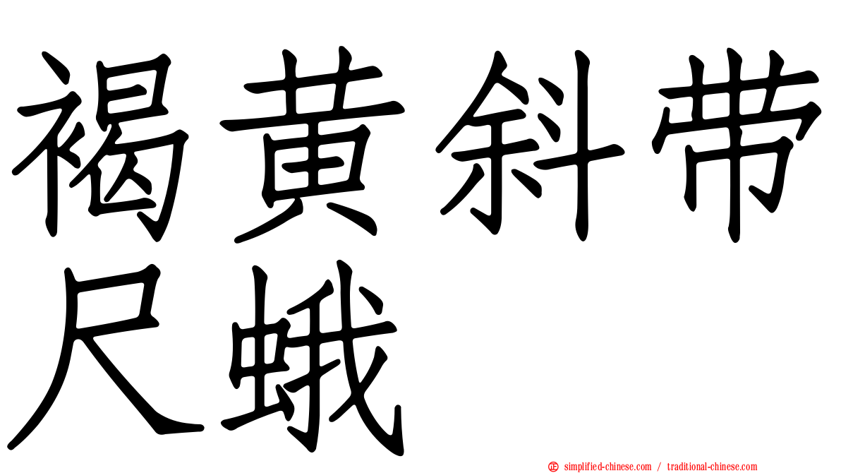 褐黄斜带尺蛾
