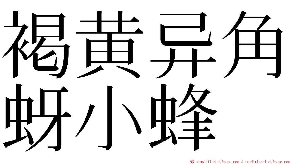 褐黄异角蚜小蜂 ming font