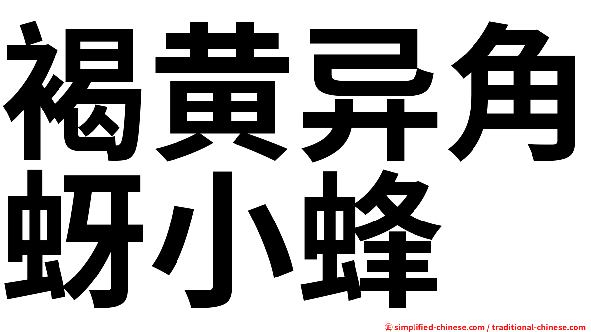 褐黄异角蚜小蜂