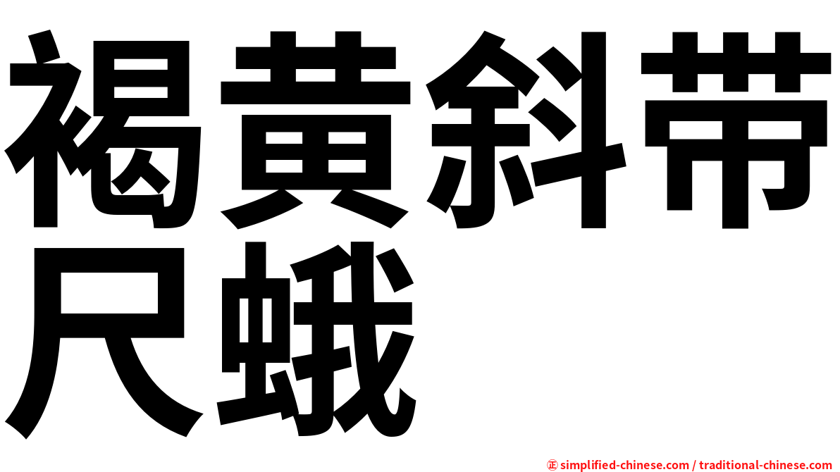 褐黄斜带尺蛾