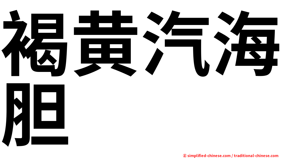 褐黄汽海胆
