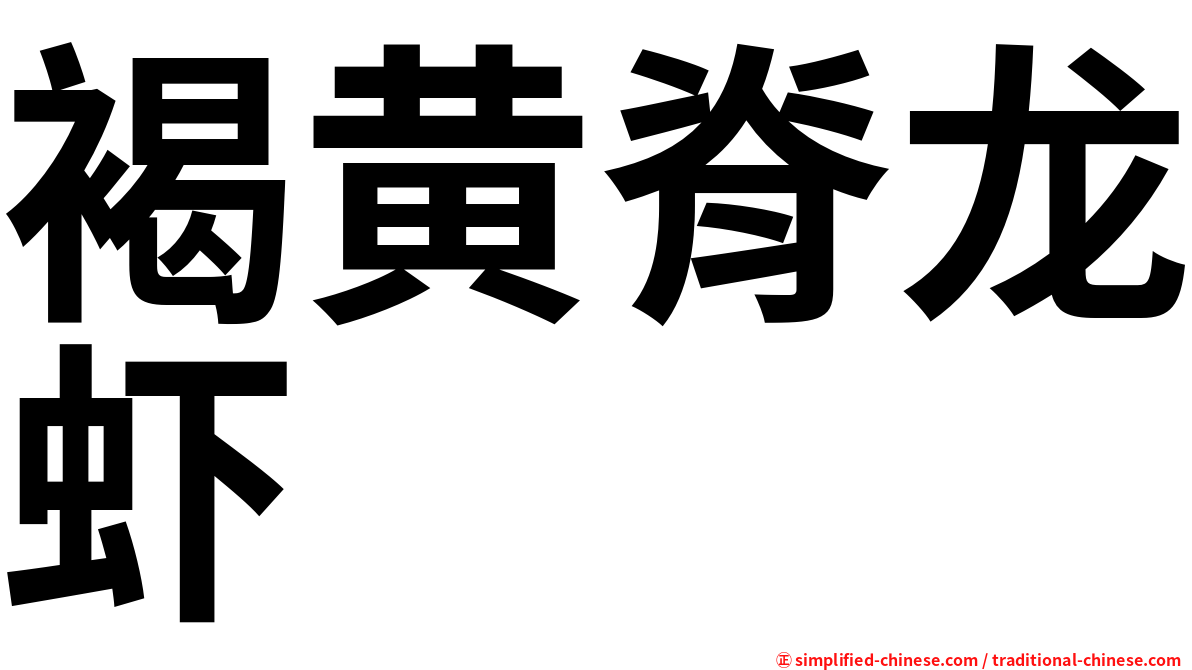 褐黄脊龙虾