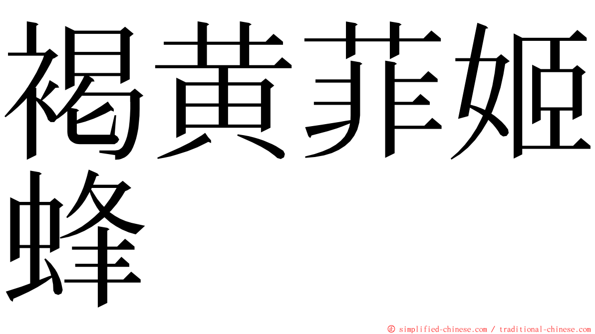 褐黄菲姬蜂 ming font