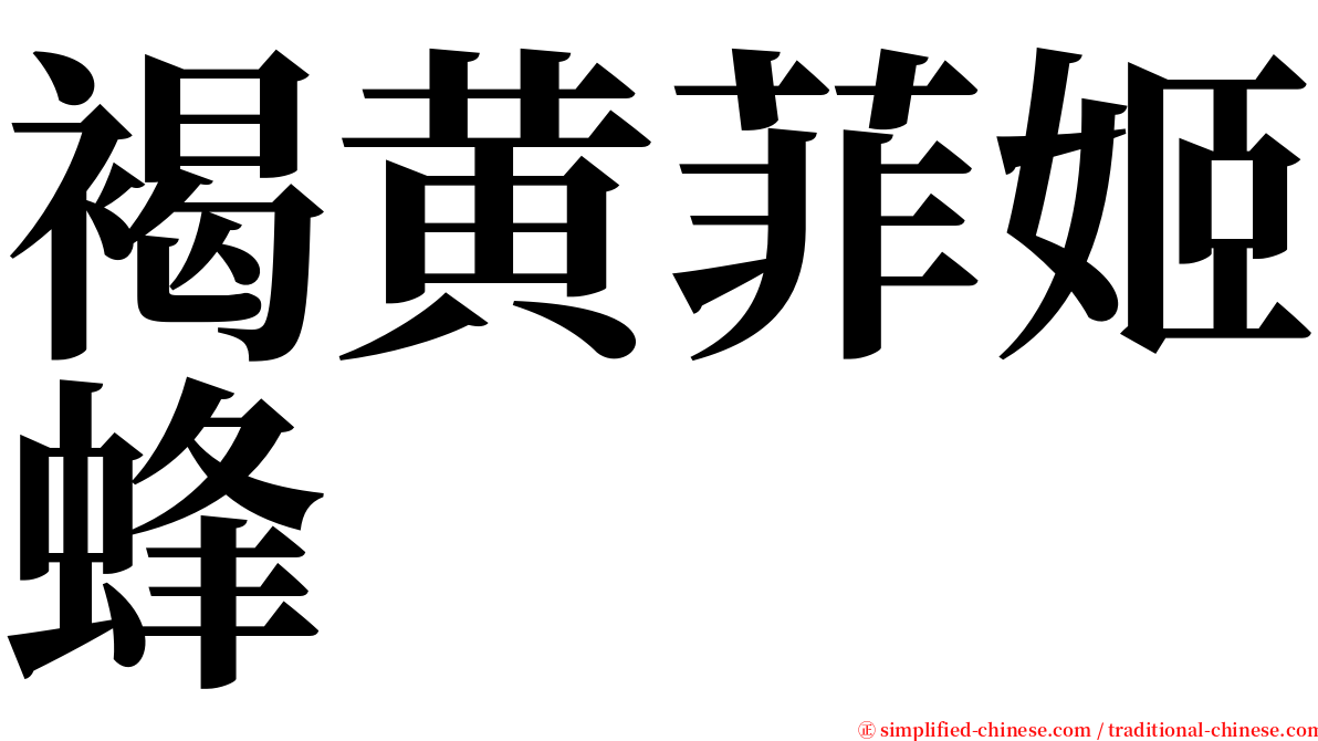 褐黄菲姬蜂 serif font