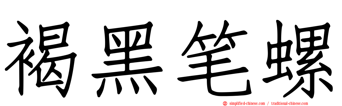 褐黑笔螺
