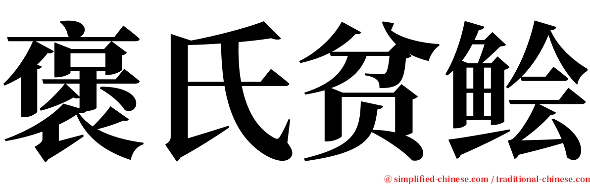 褒氏贫鲙 serif font