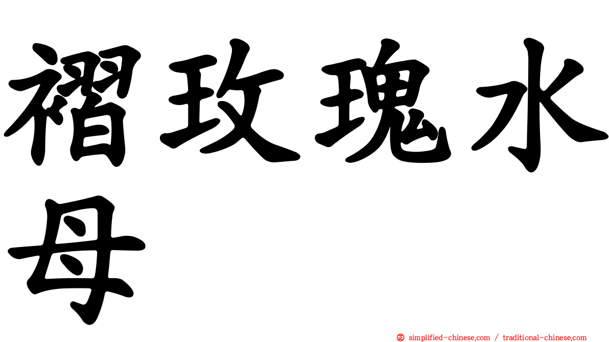 褶玫瑰水母