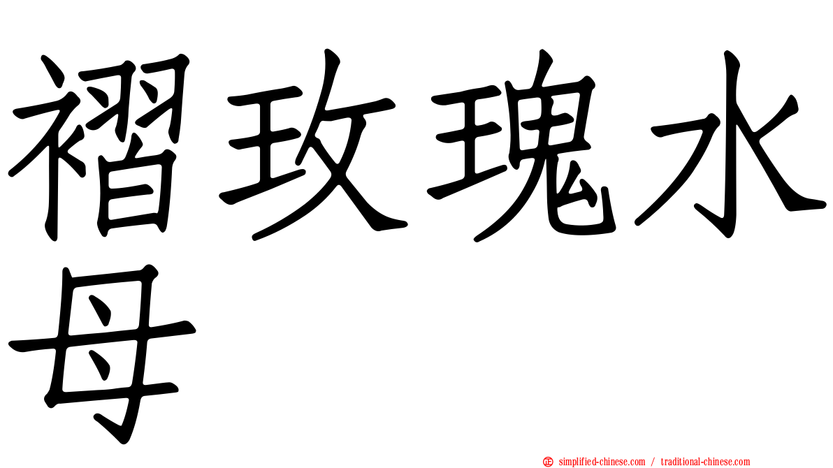 褶玫瑰水母