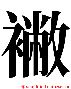 襒 serif font