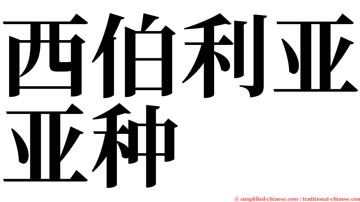 西伯利亚亚种 serif font