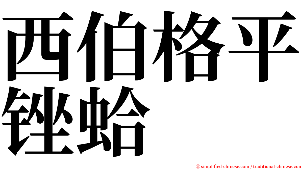 西伯格平锉蛤 serif font