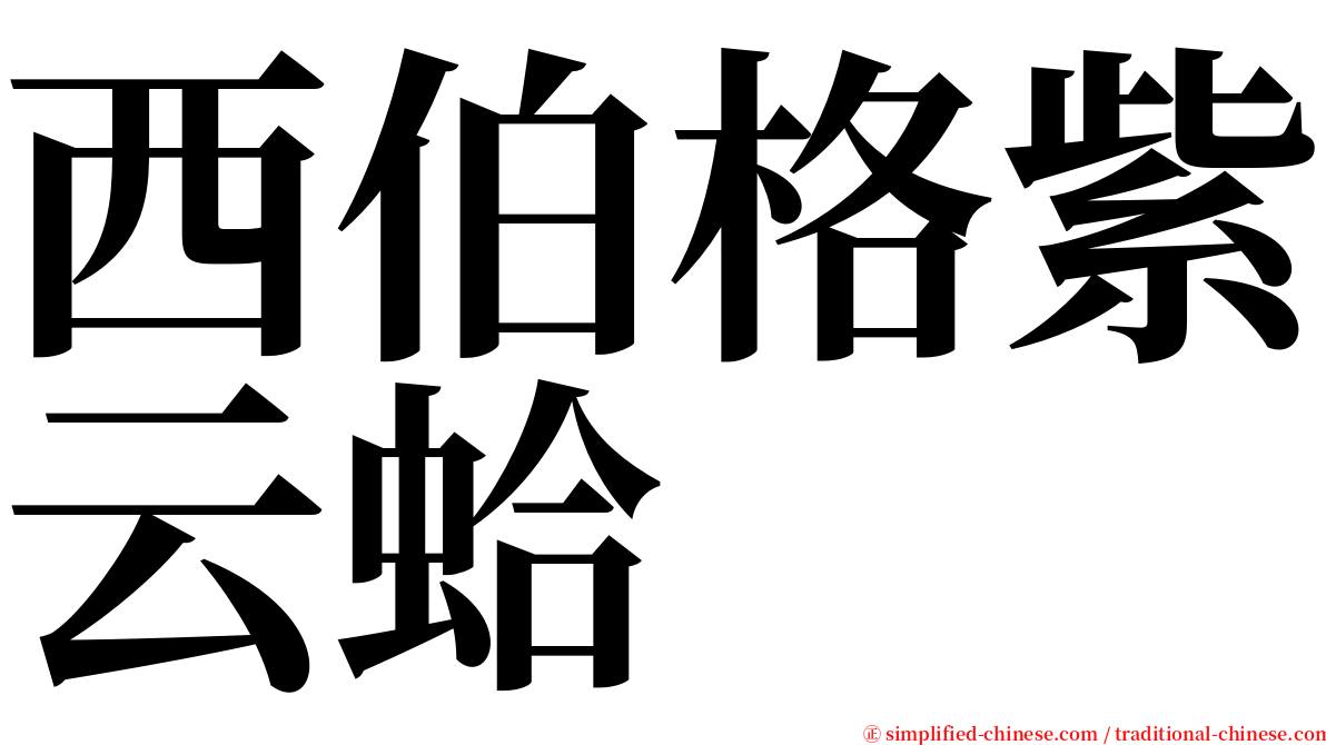 西伯格紫云蛤 serif font