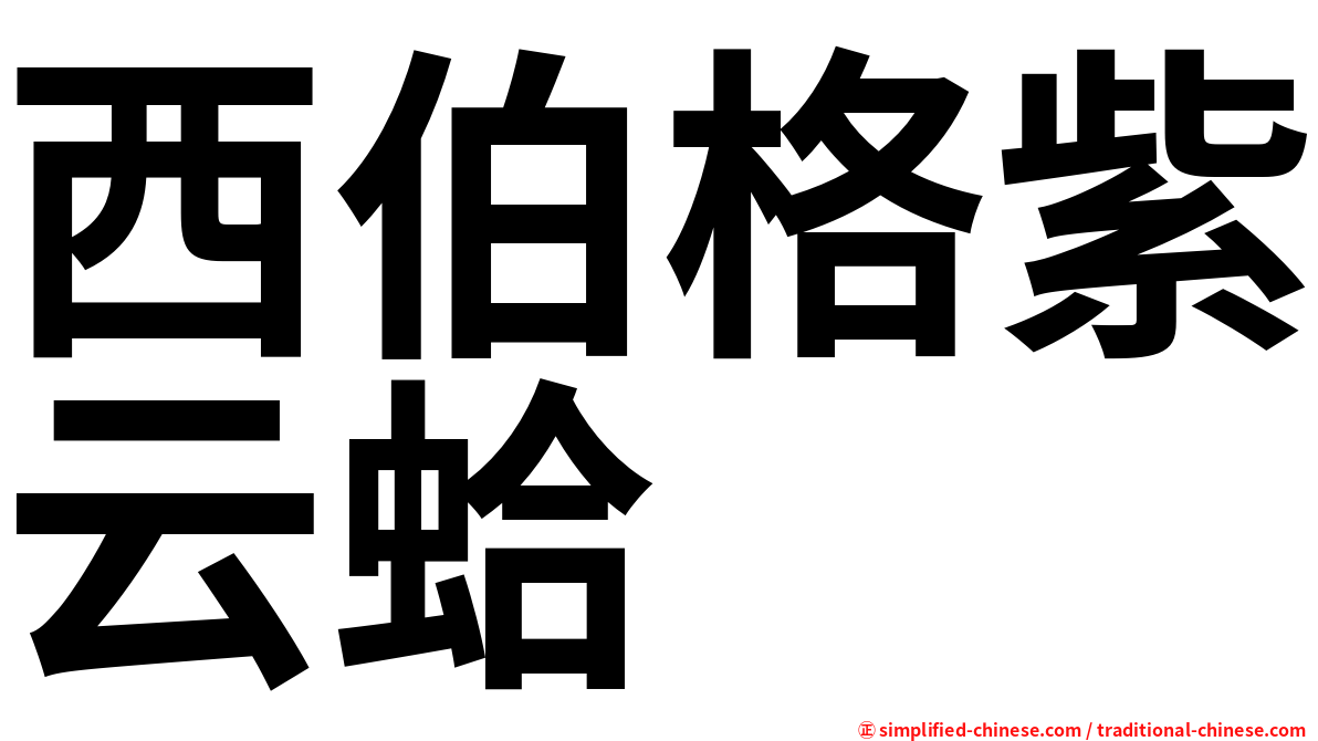 西伯格紫云蛤