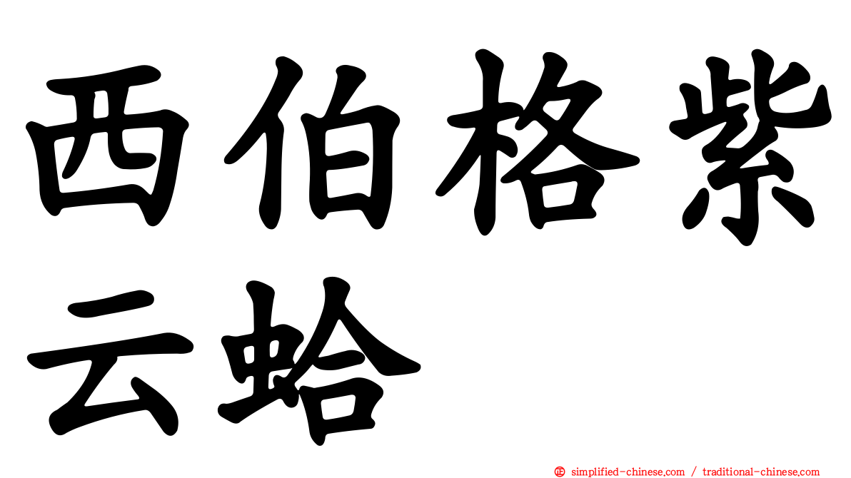 西伯格紫云蛤