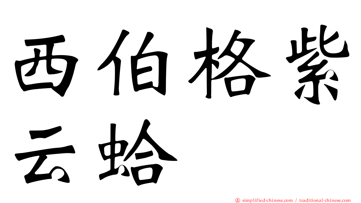 西伯格紫云蛤