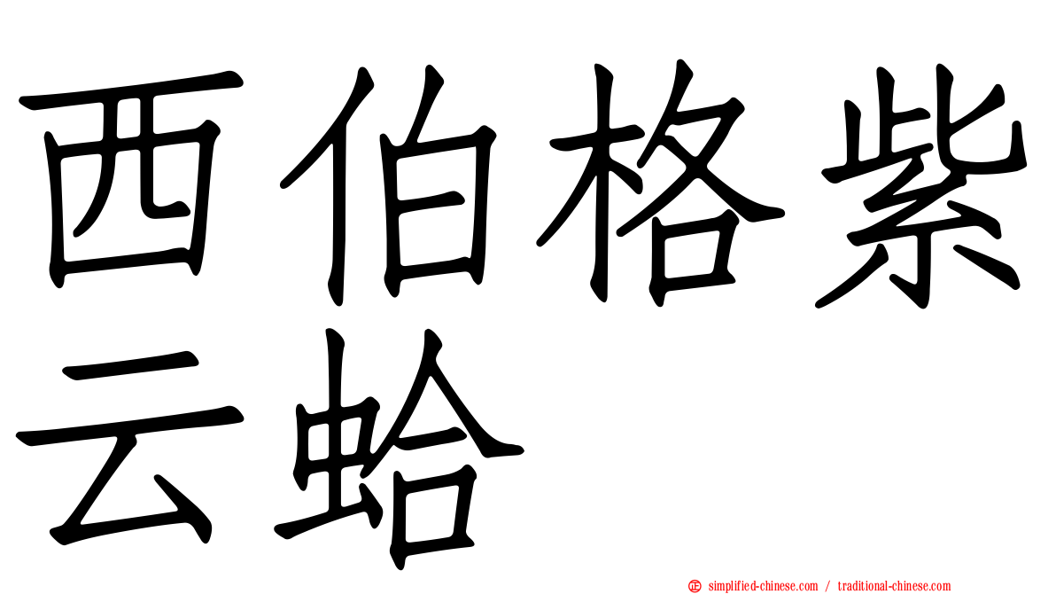 西伯格紫云蛤