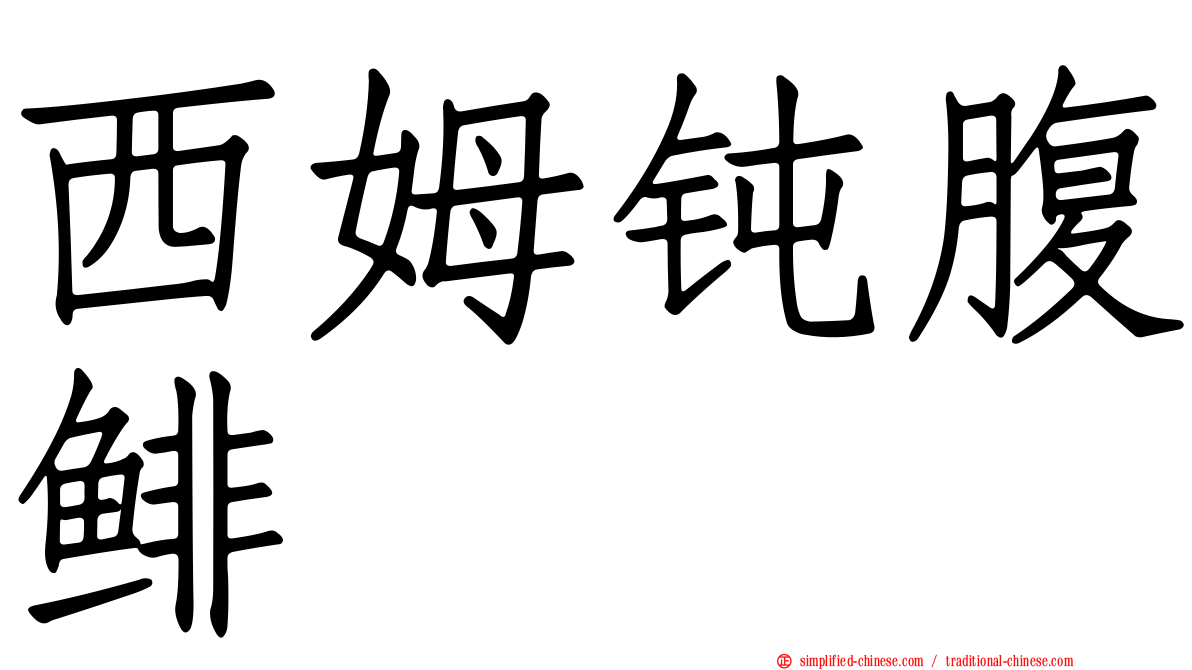 西姆钝腹鲱