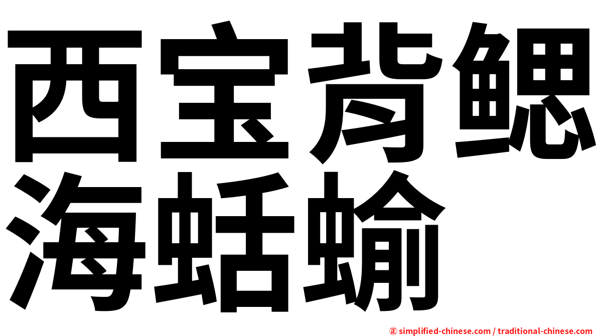 西宝背鳃海蛞蝓