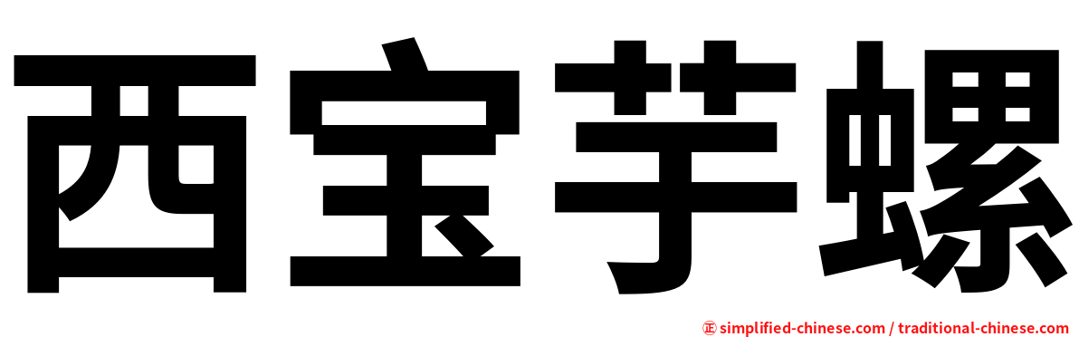 西宝芋螺