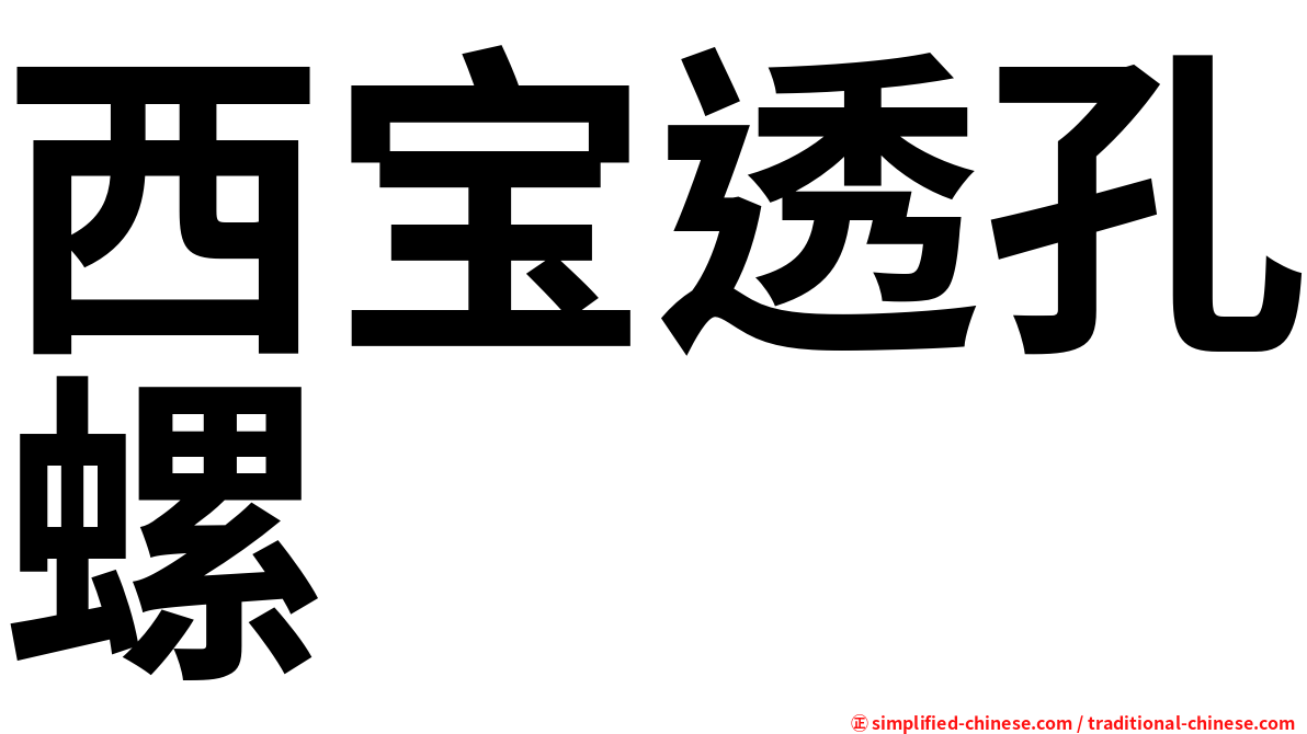 西宝透孔螺