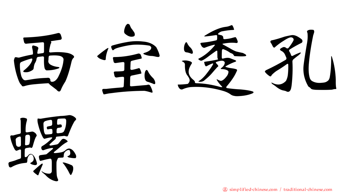 西宝透孔螺
