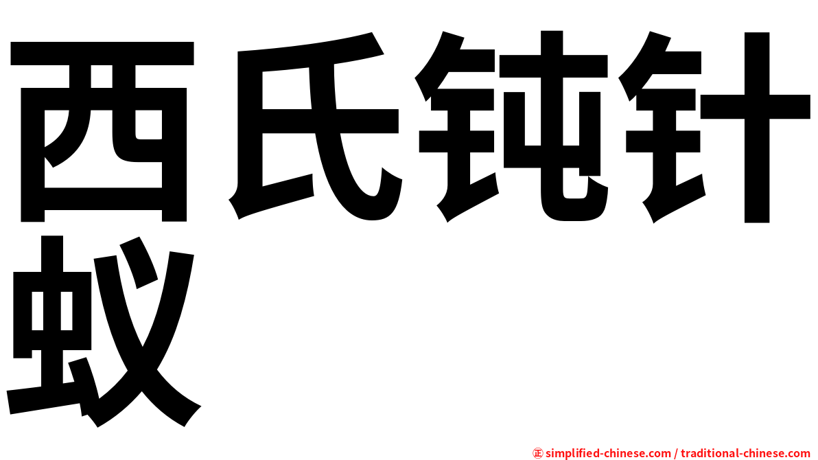 西氏钝针蚁