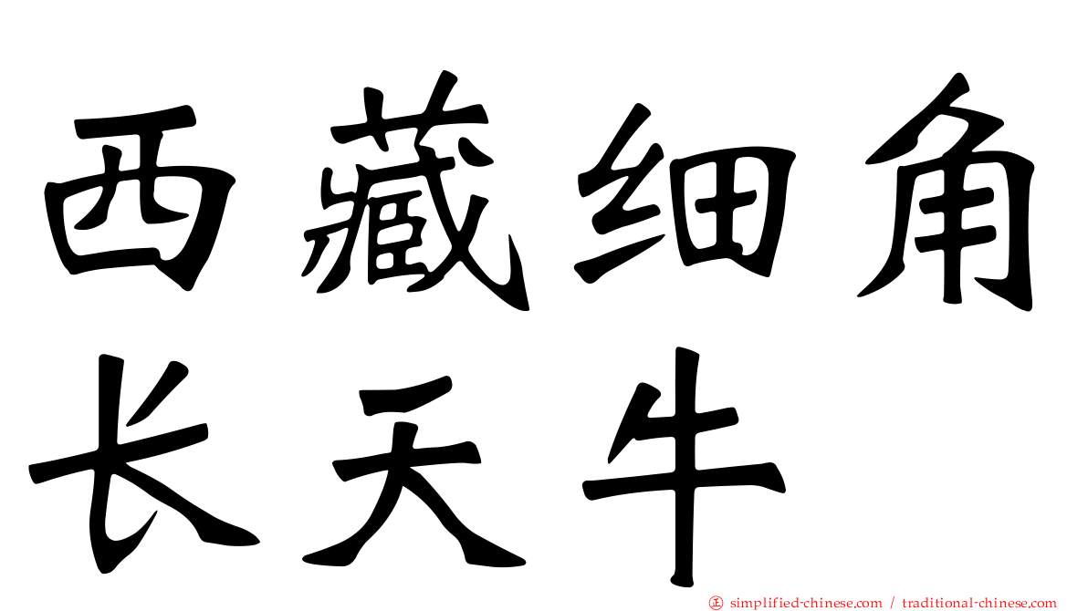 西藏细角长天牛