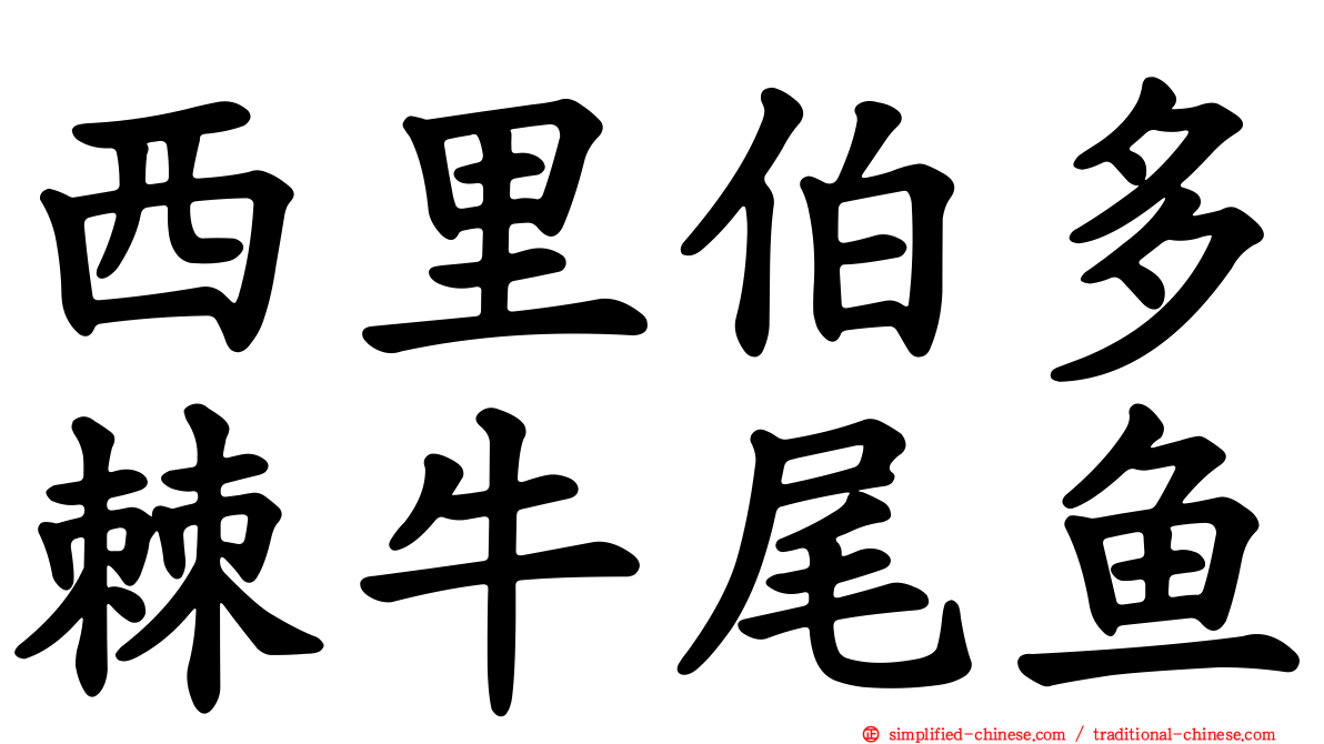 西里伯多棘牛尾鱼