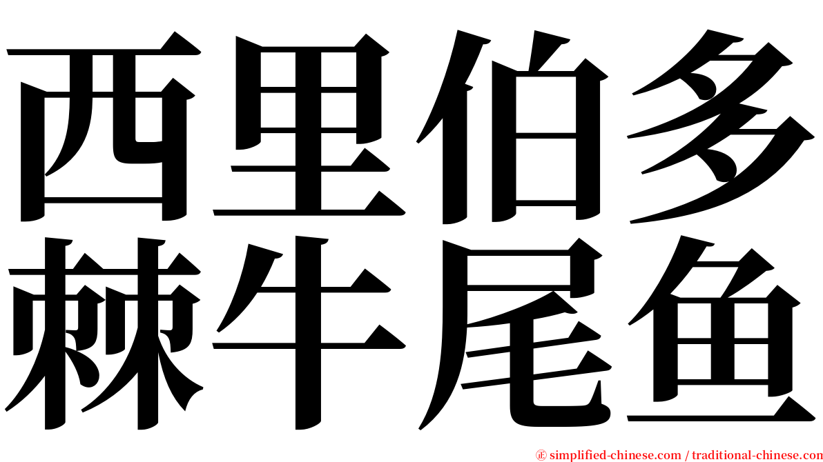 西里伯多棘牛尾鱼 serif font