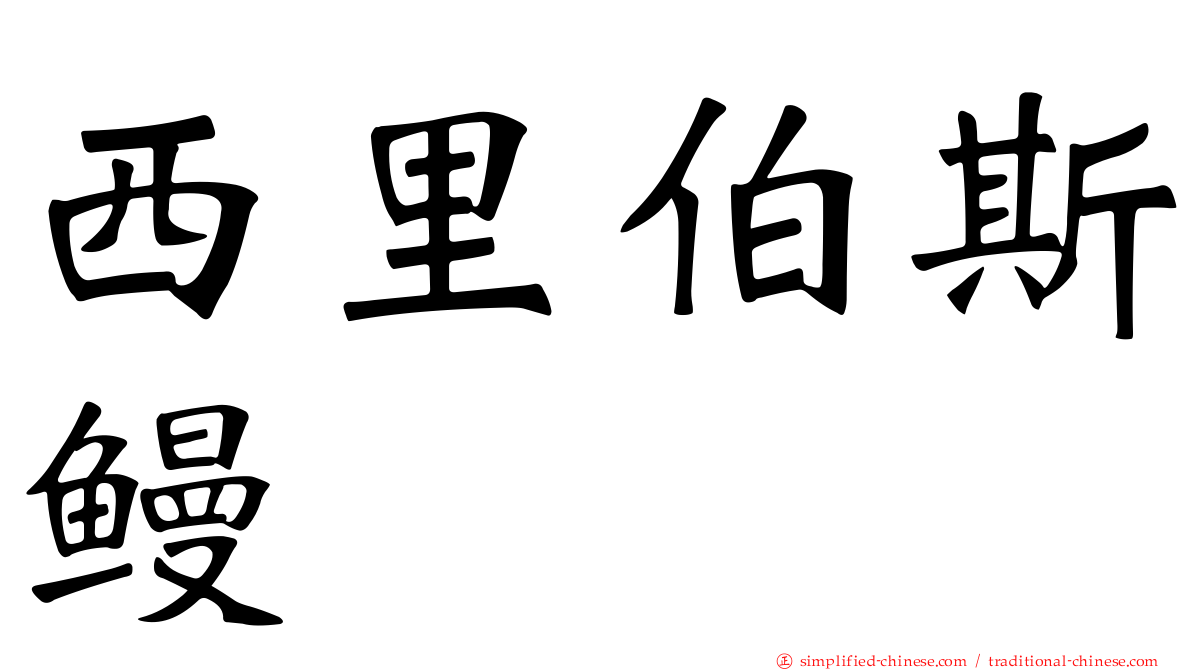 西里伯斯鳗