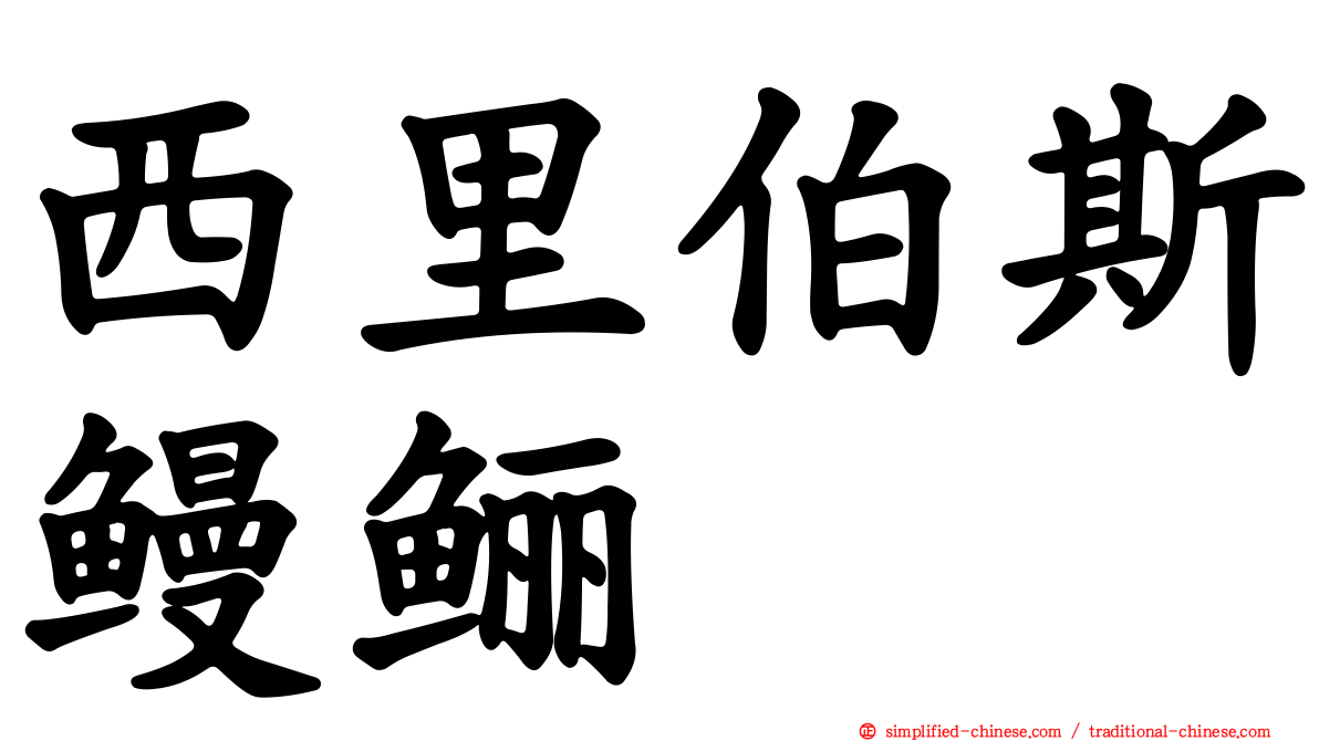 西里伯斯鳗鲡