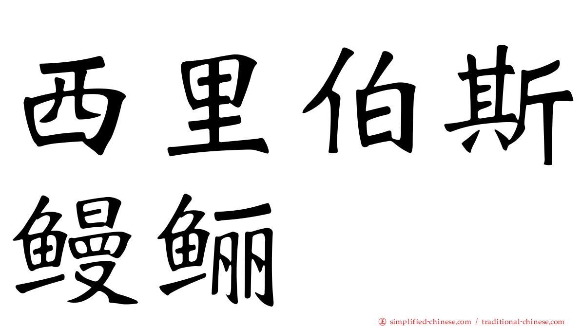 西里伯斯鳗鲡