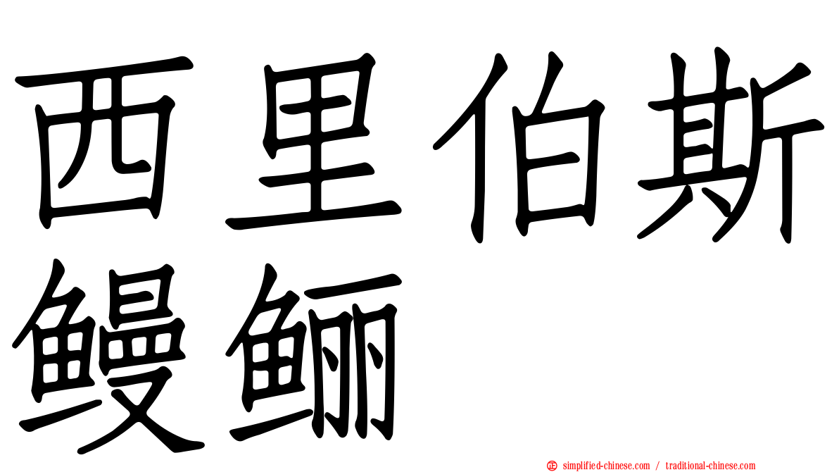 西里伯斯鳗鲡