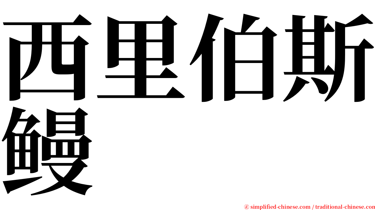西里伯斯鳗 serif font