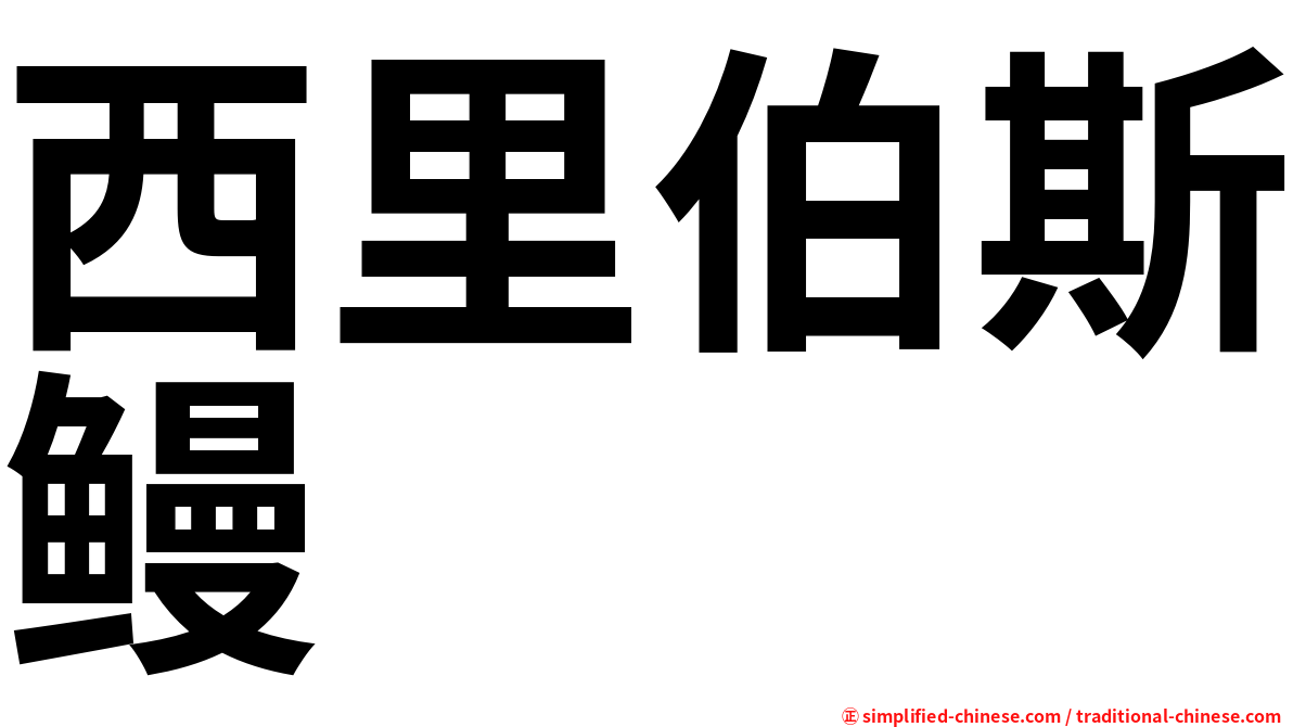西里伯斯鳗