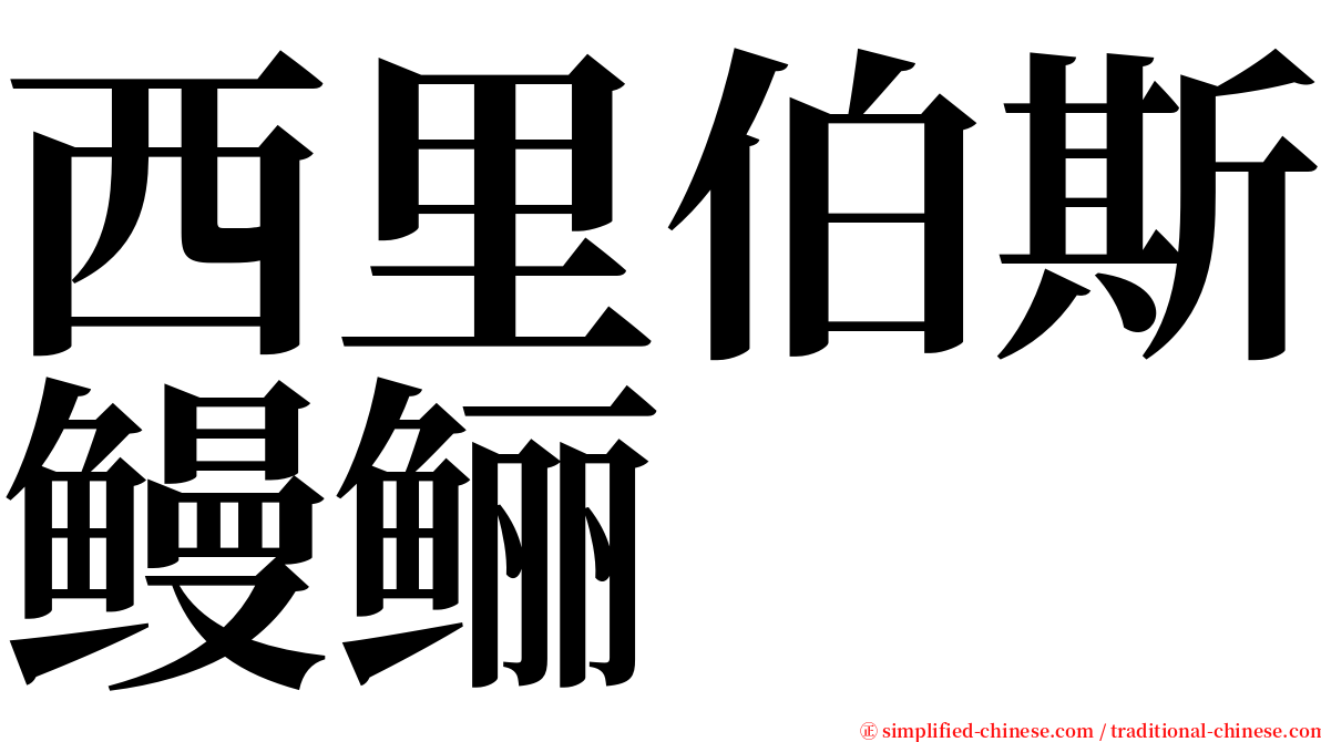 西里伯斯鳗鲡 serif font