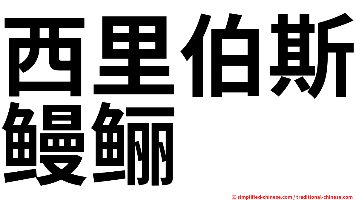 西里伯斯鳗鲡