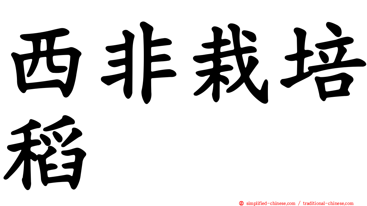 西非栽培稻