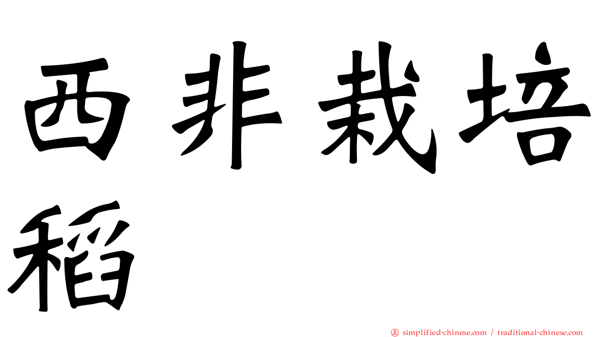 西非栽培稻
