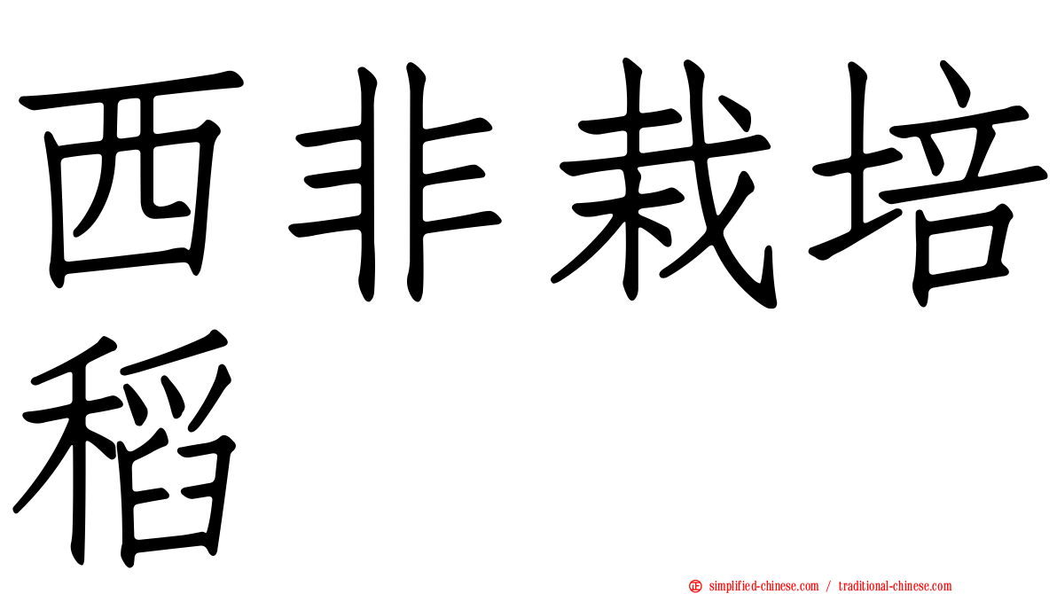 西非栽培稻
