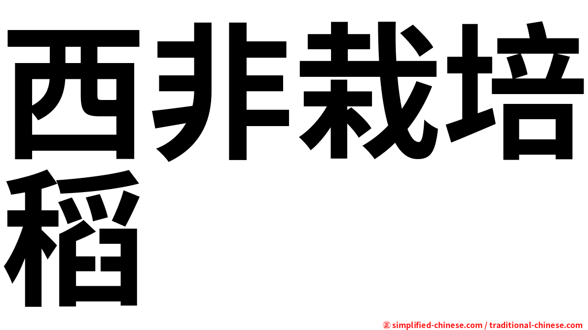 西非栽培稻