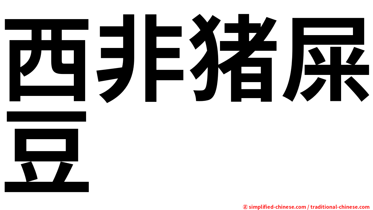 西非猪屎豆