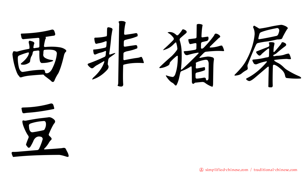 西非猪屎豆