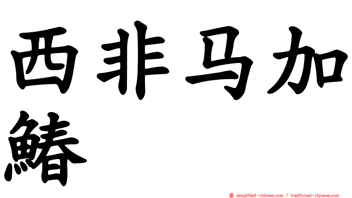 西非马加䲠