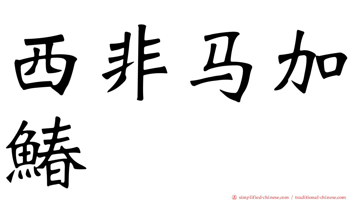 西非马加䲠